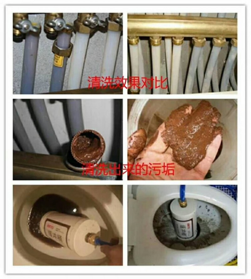 蓝狮在线