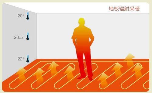 蓝狮在线
